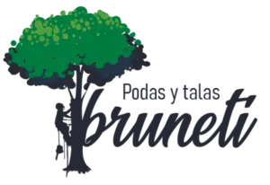 Desbroce fincas y parcelas Tala y Poda de árboles