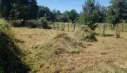 Limpieza de terrenos segovia