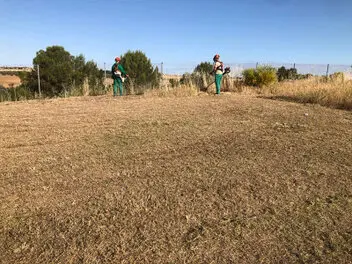 Desbrozamos y Desbroces de Fincas y parcelas Segovia y provincia