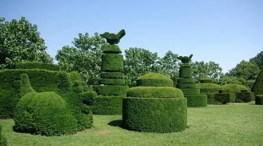 TOLEDO  TALA Y PODA DESBROCES